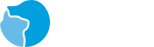 365完美体育